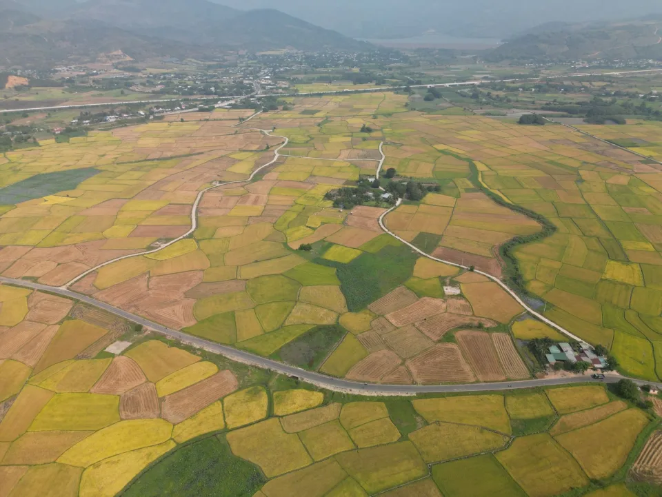 Khách chọn gạo tại vựa