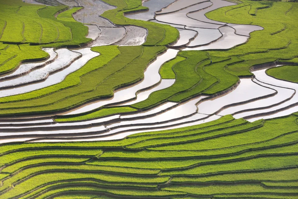 Kho gạo tại Uyên Gạo