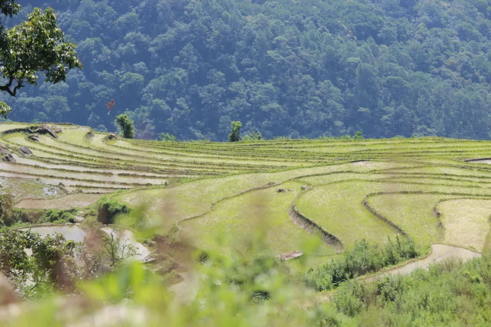 Kho gạo thoáng mát